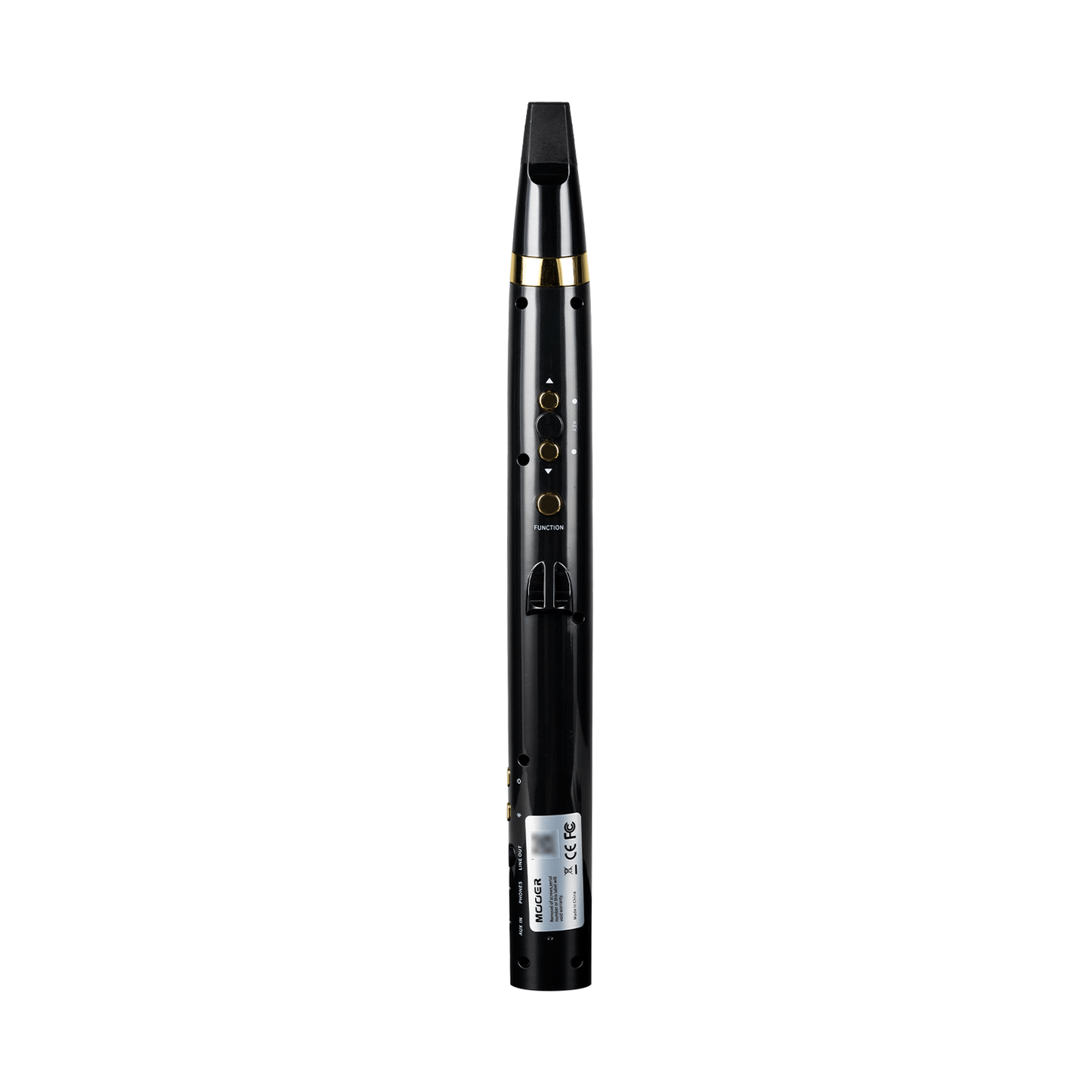 Mooer Wind Instrument 100 Wi100