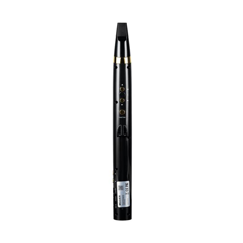 Mooer Wind Instrument 100 Wi100